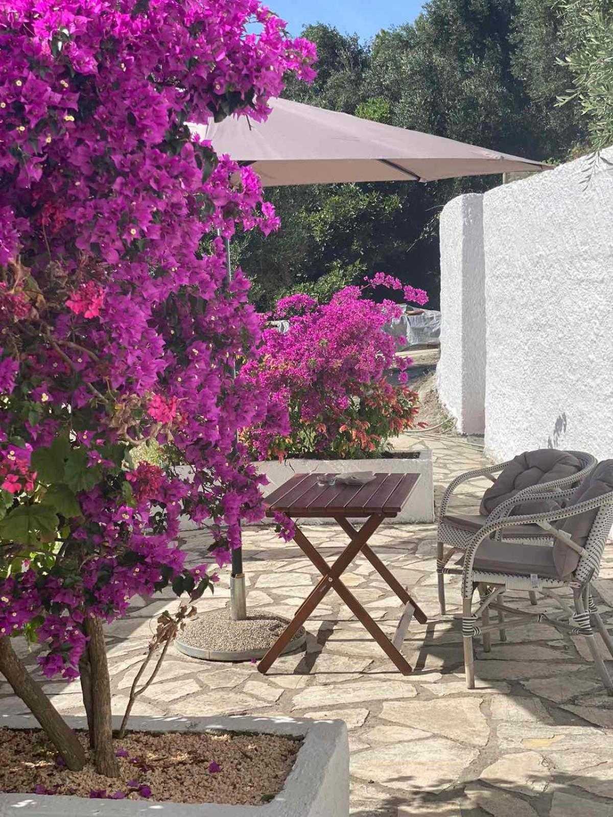 Vicky'S Panoramic View Apartments Pelekas Exterior foto