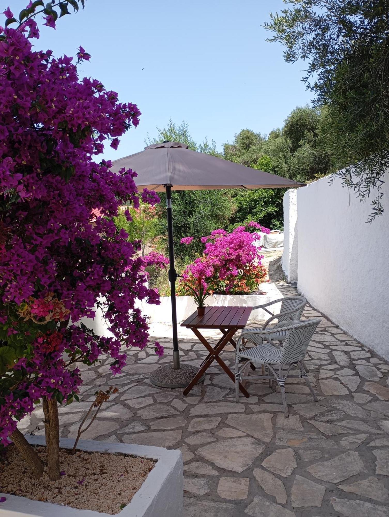 Vicky'S Panoramic View Apartments Pelekas Exterior foto